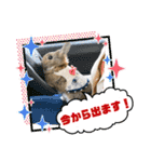 うさぎのビビ☆日常会話スタンプ4（個別スタンプ：22）