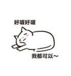 白猫です3（個別スタンプ：3）