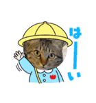 はにゃはにゃぷ（個別スタンプ：1）