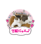 はにゃはにゃぷ（個別スタンプ：3）