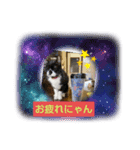 はにゃはにゃぷ（個別スタンプ：4）