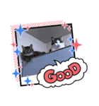 はにゃはにゃぷ（個別スタンプ：6）