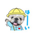 きんはなよもだい（個別スタンプ：4）
