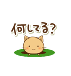 ちゃねこの日常（個別スタンプ：33）