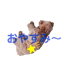 cocomaru550（個別スタンプ：3）
