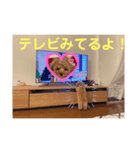 cocomaru550（個別スタンプ：4）