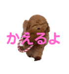 cocomaru550（個別スタンプ：6）