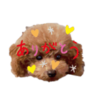 cocomaru550（個別スタンプ：7）