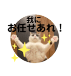つぶのつぶやき⭐︎（個別スタンプ：5）