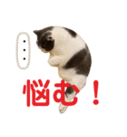 つぶのつぶやき⭐︎（個別スタンプ：7）