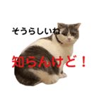 つぶのつぶやき⭐︎（個別スタンプ：8）