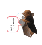 ビーグルはなのちょっと言わせて（個別スタンプ：23）