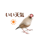 うちのもちおさんと仲間たち（個別スタンプ：7）