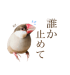 うちのもちおさんと仲間たち（個別スタンプ：18）