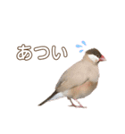 うちのもちおさんと仲間たち（個別スタンプ：20）