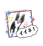 N DOGS（個別スタンプ：1）