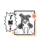 N DOGS（個別スタンプ：3）