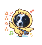 N DOGS（個別スタンプ：6）