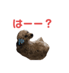 ポメプー くるんちゃん4（個別スタンプ：28）