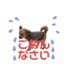 ポメプー くるんちゃん4（個別スタンプ：29）