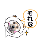 ポメプー くるんちゃん4（個別スタンプ：35）