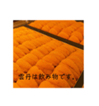 すしがすき（個別スタンプ：2）