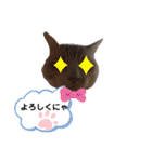 ニャンコ劇場（個別スタンプ：12）