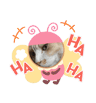 ニャンコ劇場（個別スタンプ：20）