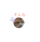 ニャンコ劇場（個別スタンプ：32）
