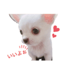 しじみの日常♡（個別スタンプ：1）