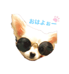 しじみの日常♡（個別スタンプ：2）