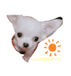 しじみの日常♡（個別スタンプ：3）