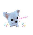 しじみの日常♡（個別スタンプ：6）