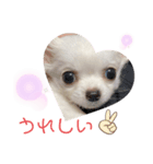 しじみちゃんの日常♡2（個別スタンプ：5）