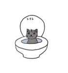 キムねこ（個別スタンプ：17）