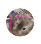 我が家の可愛い大家族 (第2弾)（個別スタンプ：8）