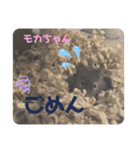 我が家の可愛い大家族 (第2弾)（個別スタンプ：12）