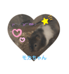 我が家の可愛い大家族 (第2弾)（個別スタンプ：13）