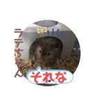 我が家の可愛い大家族 (第2弾)（個別スタンプ：14）