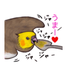 オカメインコのツキミさん♡（個別スタンプ：6）