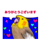 オカメインコのツキミさん♡（個別スタンプ：20）