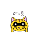 我々は猫だ(茶トラVer.)（個別スタンプ：24）