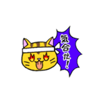 我々は猫だ(茶トラVer.)（個別スタンプ：27）