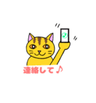 我々は猫だ(茶トラVer.)（個別スタンプ：28）