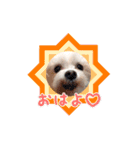 我が家のアイドルみく（個別スタンプ：1）