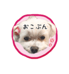 我が家のアイドルみく（個別スタンプ：5）
