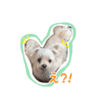 我が家のアイドルみく（個別スタンプ：6）