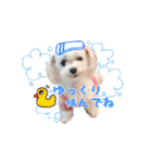我が家のアイドルみく（個別スタンプ：13）