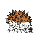 身体が柔らかい人(中級者編)（個別スタンプ：17）