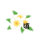ホヌのスタンプ（個別スタンプ：36）